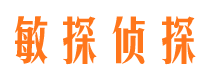 清浦市私家侦探